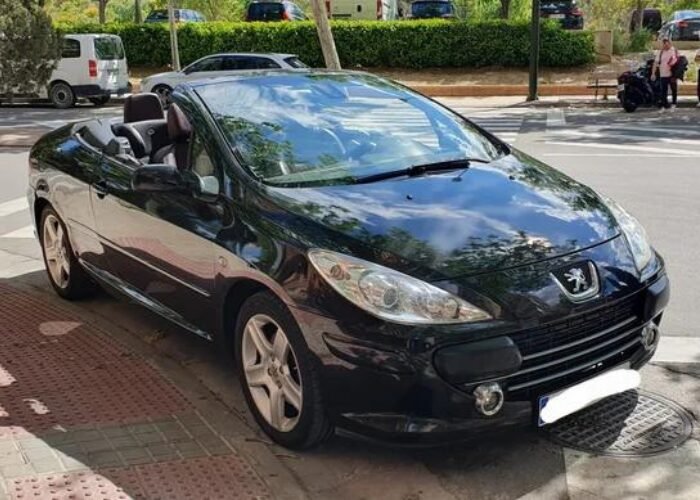 Peugeot 307 2006